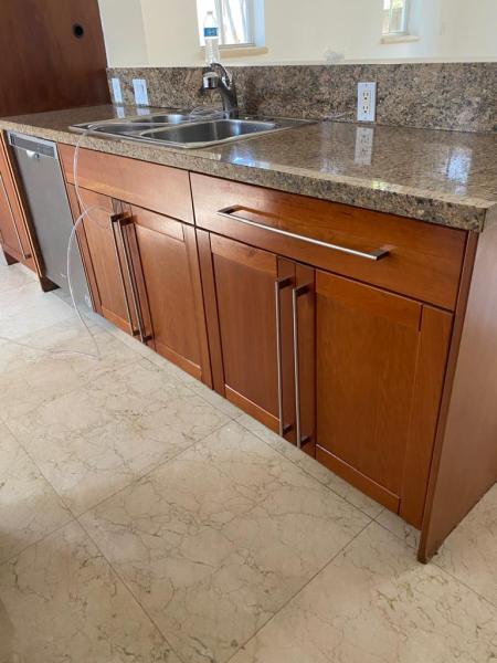 True Mold Specialist