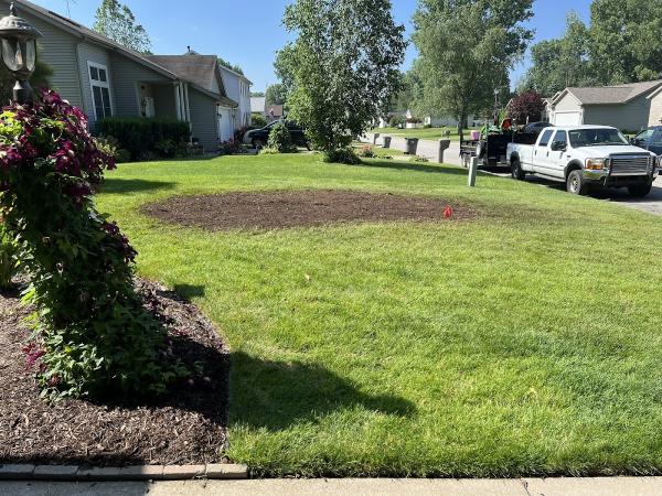 Hill's Tree Service