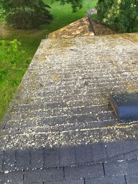 Flynn Power Washing