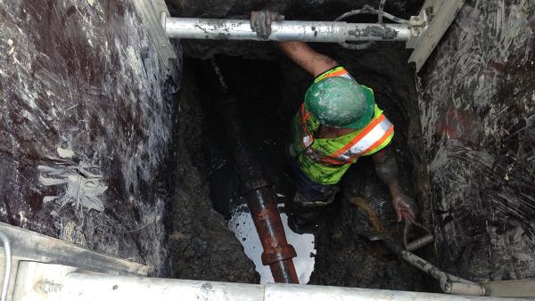 Bubba