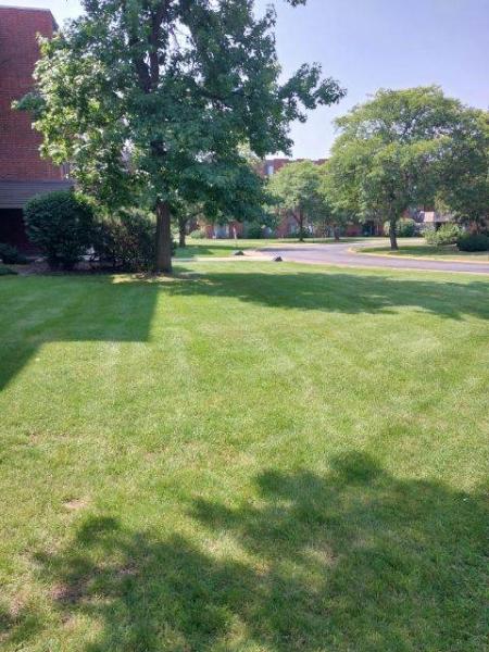 Suburban Landscaping