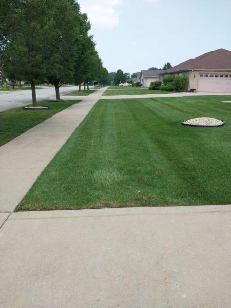 Suburban Landscaping