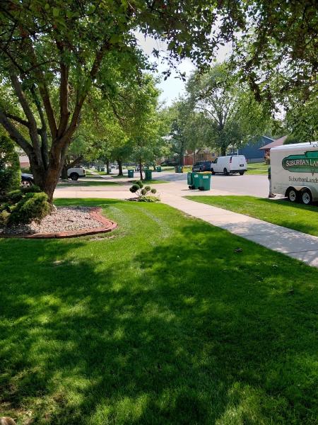 Suburban Landscaping