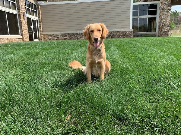 Champion Green Turf & Ornamental Services