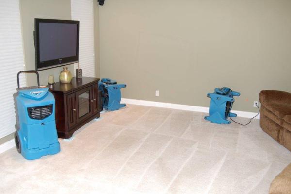 TNT Carpet Care