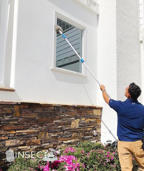 Insecta Pest Solutions