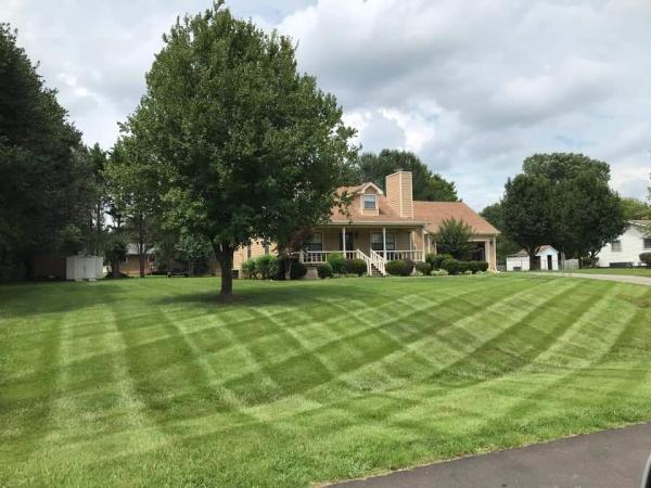 Stroud Property Maintenance