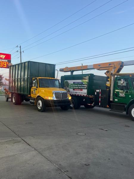 United Tree Services Corp