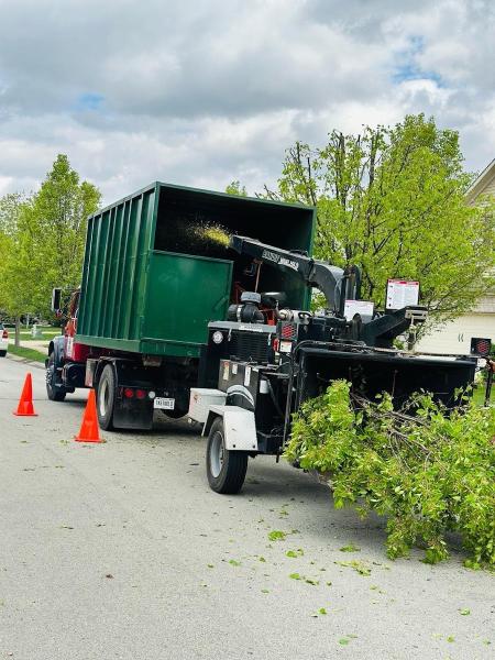 United Tree Services Corp