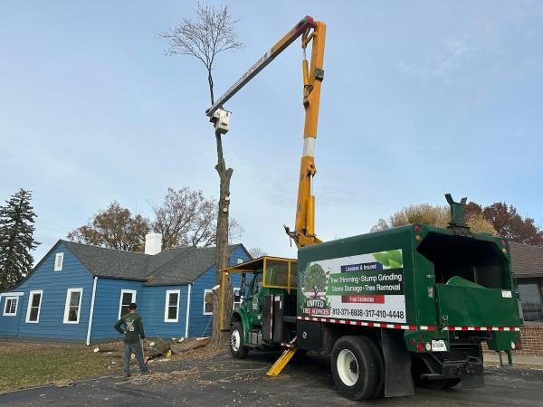 United Tree Services Corp