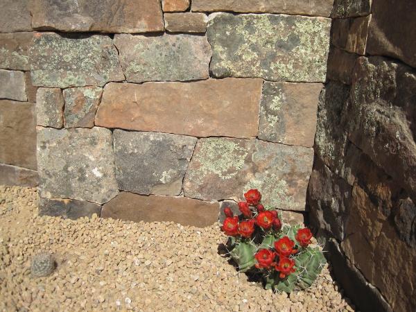 New Mexico Stone
