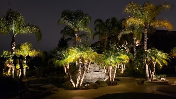 Orange County Night Lights Inc.