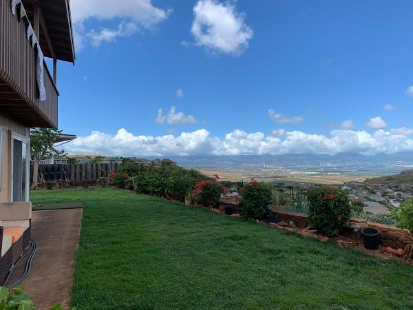 Green Grass Hawaii