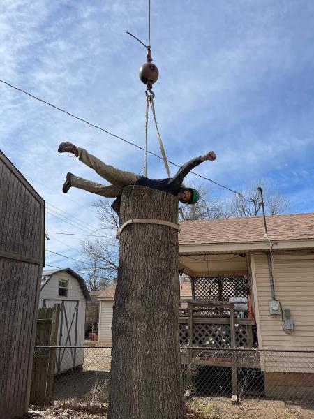 White's Arborcare