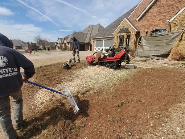 White's Arborcare