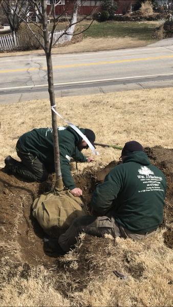 Kucharski Tree Care Professionals