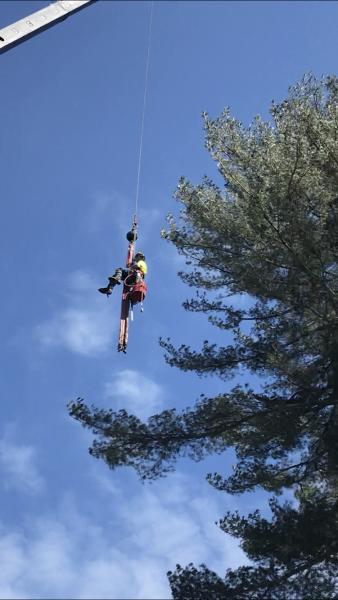 Kucharski Tree Care Professionals