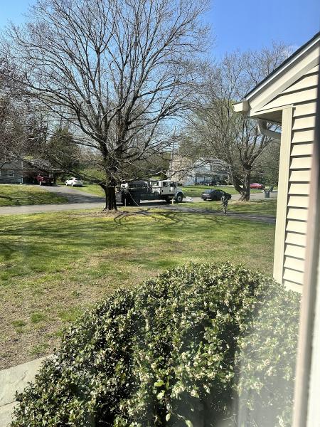 Stutz Driveway Sealing and Repair
