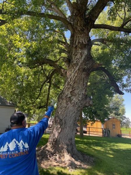 Mountain West Pest Control LLC