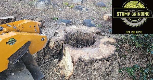 Triangle Stump Grinding LLC