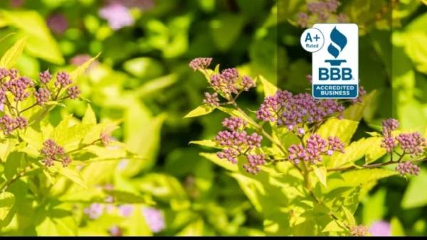 Cut-n-Up Lawn Care and Landscape