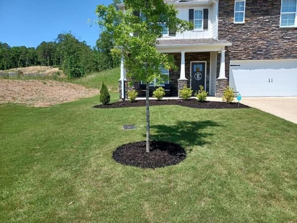 Cut-n-Up Lawn Care and Landscape