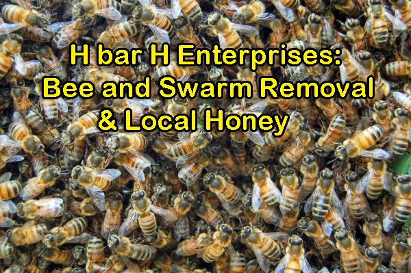 H Bar H Enterprises