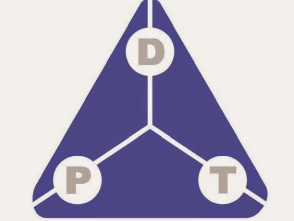 DPT Construction Inc