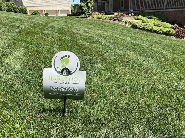 Barefoot Lawn