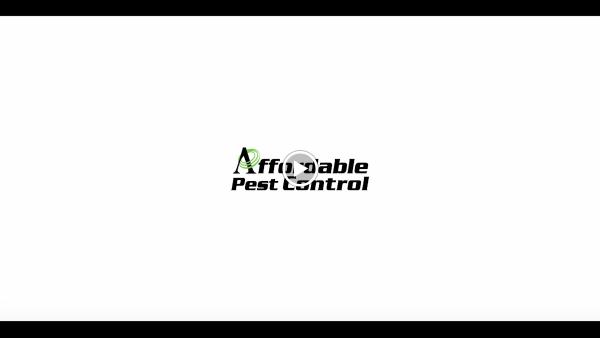 Affordable Pest Control