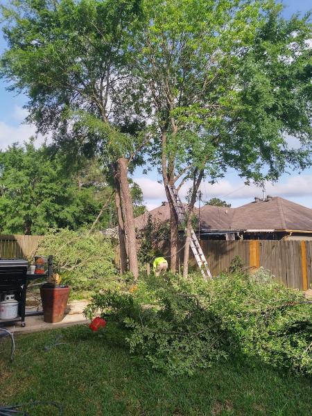 Nunez Landscaping