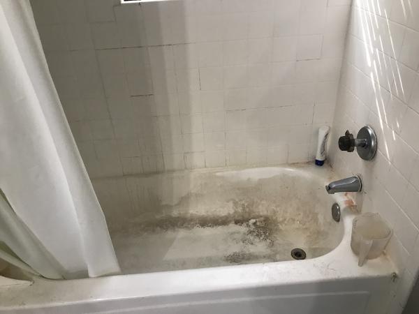 Casabella Cleaning