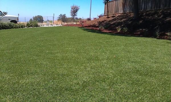 General Landscaping Service