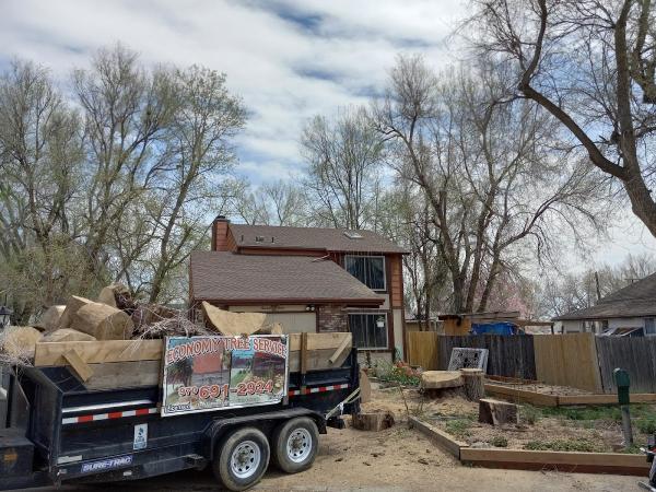 Economy Tree Service