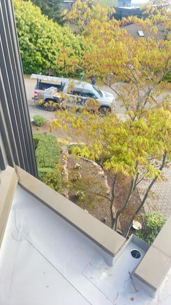 Orca Roofing & Exteriors