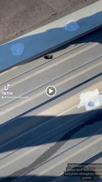 Flat Roof Company