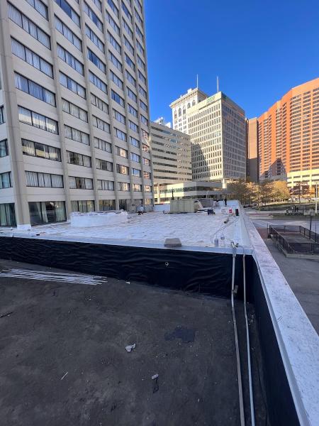 Flat Roof Company