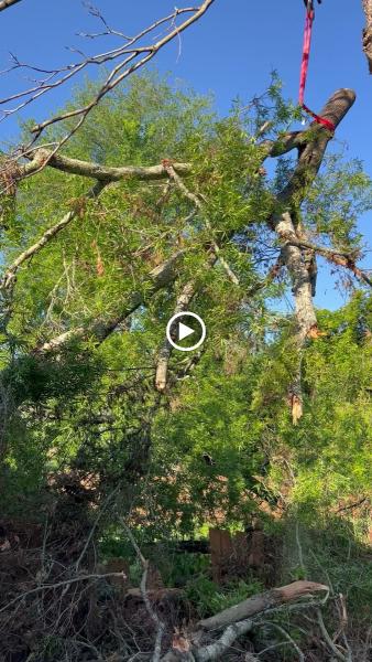 Tyson's Tree Service