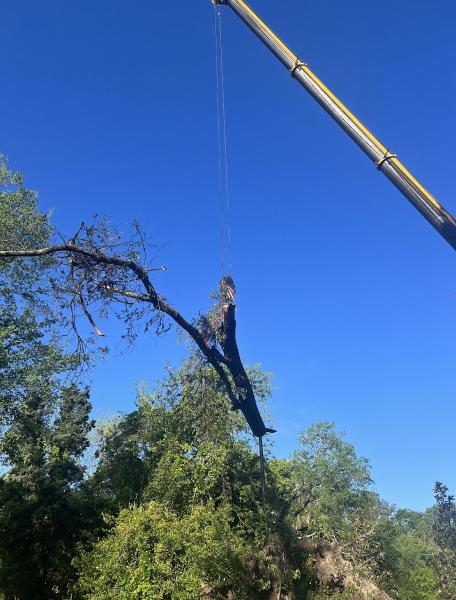 Tyson's Tree Service