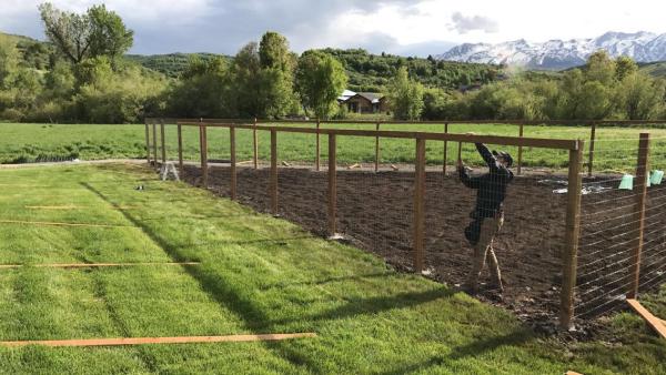Overland Lawn and Landscape