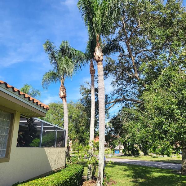 Elevation Environmental Services