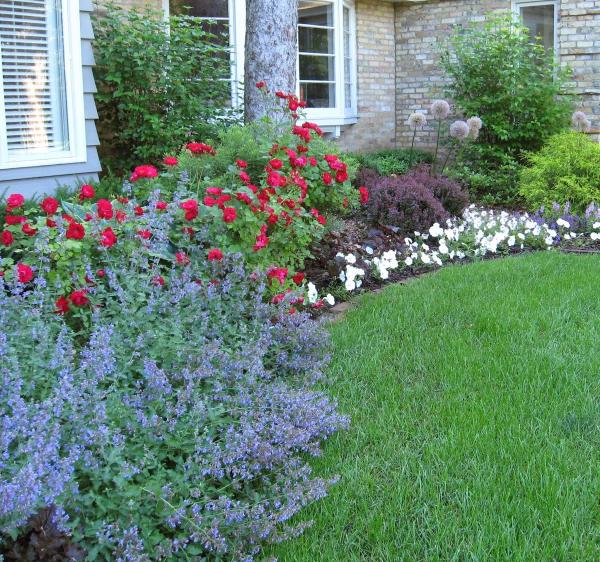 Designing Nature Landscaping Services