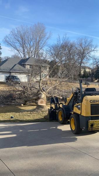 We Cut Tree's
