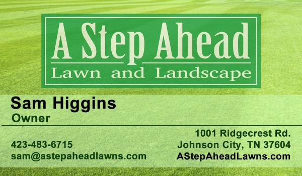 A Step Ahead Lawn and Landscape