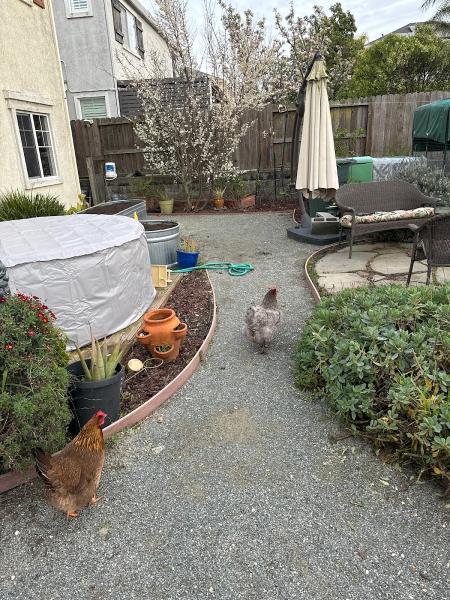ALL Season Landscaping LLC