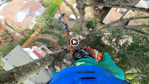 Green Leaf Tree Service