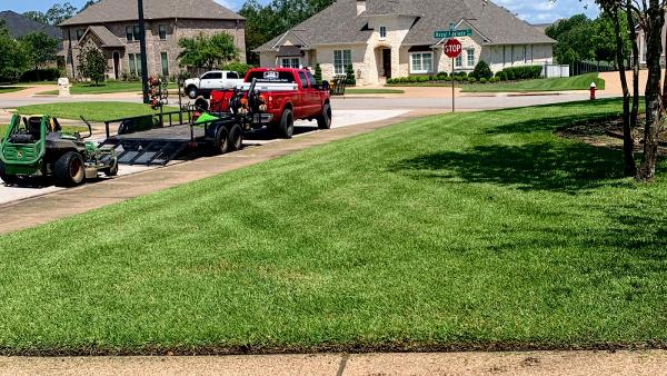 J.alb Lawn Maintenance