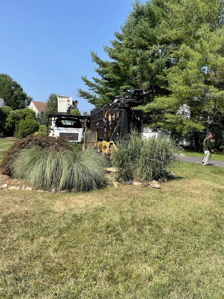 3 Brothers Tree Service