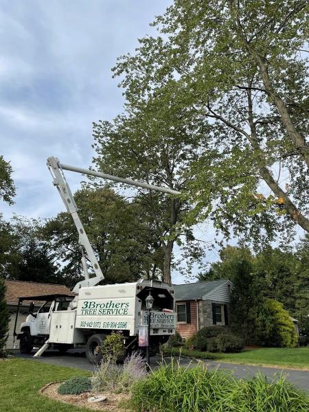 3 Brothers Tree Service