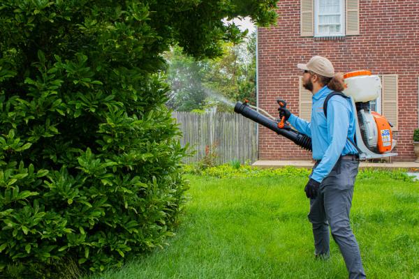 Mosquito Ranger